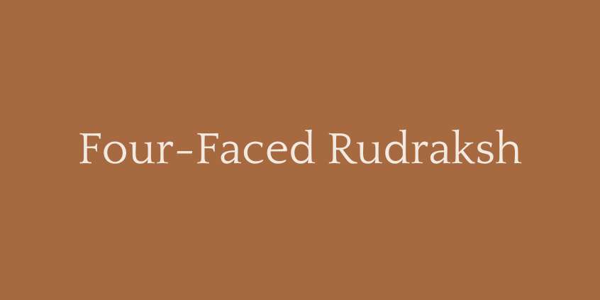 Four-Faced Rudraksh (4 Mukhi Rudraksha)